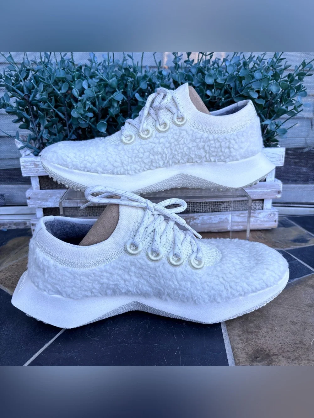 Allbirds Wool Dasher Fluff Sneakers